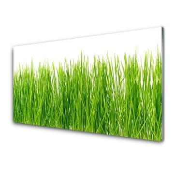 tulup.si Slika na akrilnem steklu Grass nature rastlin 2 obešalnika