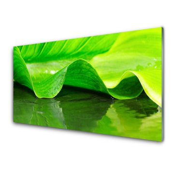 tulup.si Slika na akrilnem steklu Rastlina leaf narava 4 obešalnika