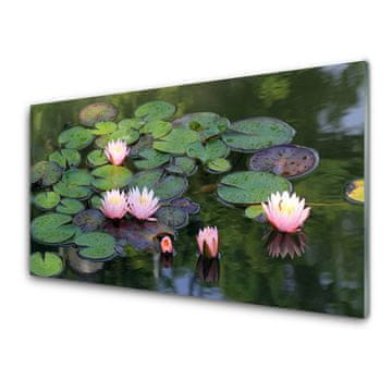 tulup.si Slika na steklu Voda lily pond narava 4 obešalnika