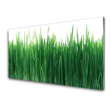tulup.si Zidna obloga za kuhinju Grass nature rastlin
