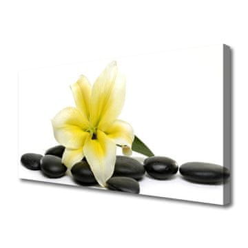 tulup.si Slika na platnu Flower stones art