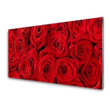 tulup.si Slika na akrilnem steklu Roses flowers rastlin 4 obešalnika