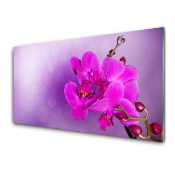 tulup.si Slika na akrilnem steklu Orchid latice cvetje 2 obešalnika
