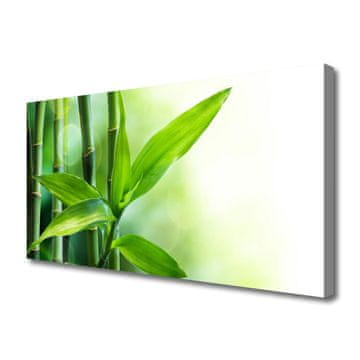 tulup.si Slika na platnu Bamboo leaf narava rastlin