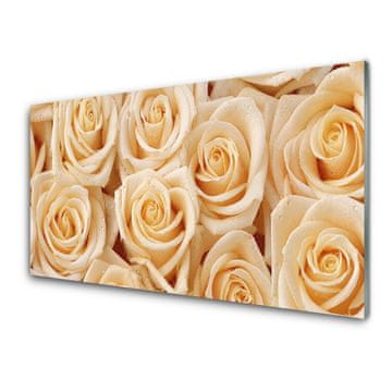 tulup.si Steklena slika Roses flowers rastlin 2 obešalnika