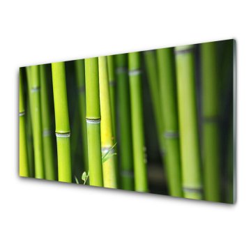 tulup.si Slika na akrilnem steklu Narava bamboo rastlin 4 obešalnika