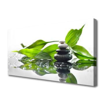 tulup.si Slika na platnu Stones art listi