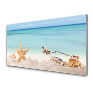 tulup.si Slika na akrilnem steklu Starfish školjke beach 4 obešalnika