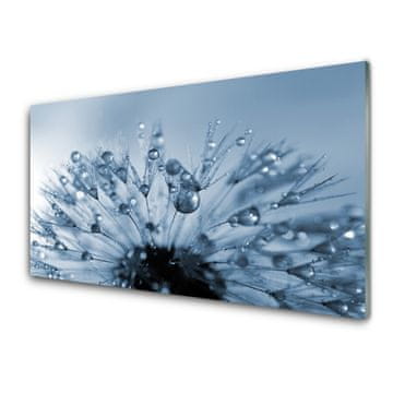tulup.si Slika na akrilnem steklu Dandelion flower drops 4 obešalnika