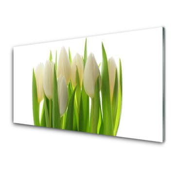 tulup.si Slika na akrilnem steklu Obrat tulipani nature 4 obešalnika