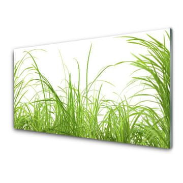 tulup.si Slika na akrilnem steklu Grass nature rastlin 2 obešalnika