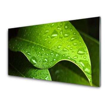 tulup.si Slika na akrilnem steklu Dew drops leaf 4 obešalnika