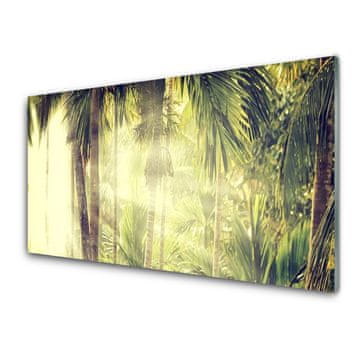 tulup.si Slika na akrilnem steklu Palm tree forest narava 2 obešalnika