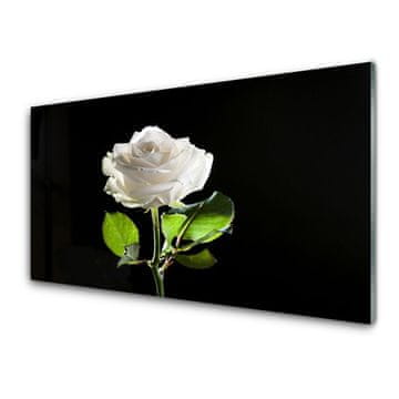 tulup.si Slika na akrilnem steklu Rose flower rastlin narava 4 obešalnika