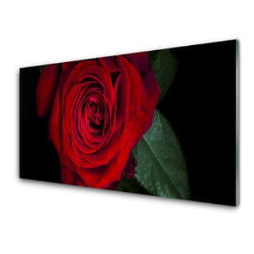 tulup.si Slika na akrilnem steklu Rose na wall 4 obešalnika