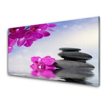 tulup.si Slika na akrilnem steklu Orchid cvetje rastlin 2 obešalnika