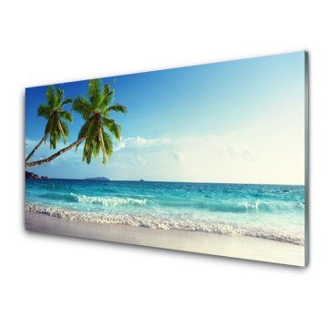 tulup.si Slika na akrilnem steklu Seaside palm beach landscape 2 obešalnika