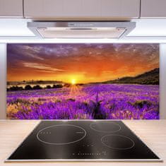 tulup.si Zidna obloga za kuhinju Sunset lavender polje 100x50 cm