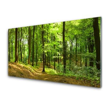 tulup.si Slika na akrilnem steklu Forest narava pot 4 obešalnika