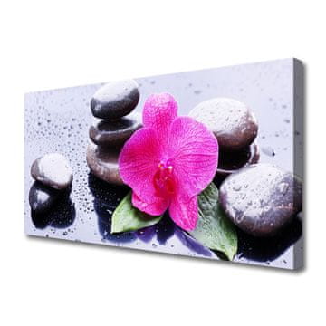 tulup.si Slika na platnu Orchid flower art