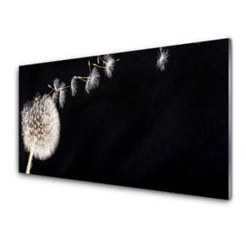 tulup.si Slika na akrilnem steklu Dandelion flower rastlin 2 obešalnika