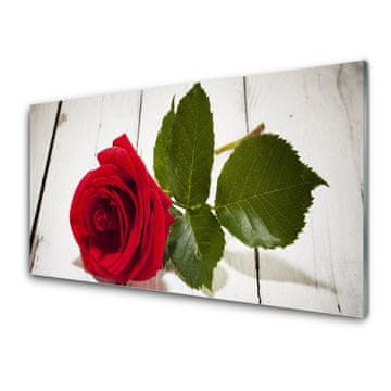 tulup.si Slika na akrilnem steklu Rose flower rastlin narava 2 obešalnika