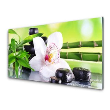 tulup.si Slika na akrilnem steklu Orchid bamboo listi 4 obešalnika