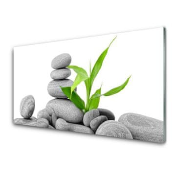 tulup.si Slika na akrilnem steklu Stones art listi 2 obešalnika