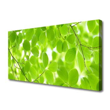 tulup.si Slika na platnu Listi narava