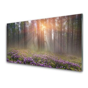 tulup.si Slika na akrilnem steklu Forest narava flowers rastlin 2 obešalnika