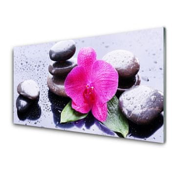 tulup.si Slika na akrilnem steklu Orchid flower art 4 obešalnika