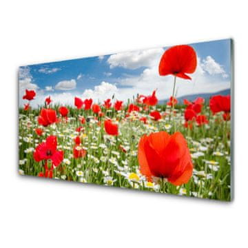 tulup.si Slika na akrilnem steklu Travnik flowers narava 2 obešalnika