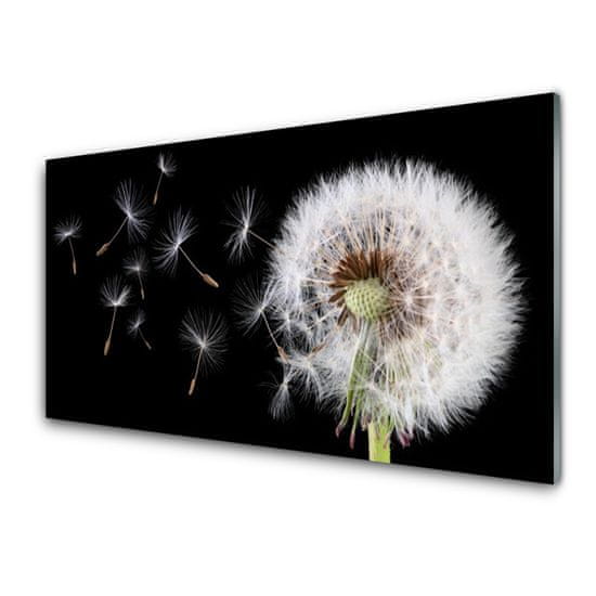 tulup.si Steklena slika Dandelion