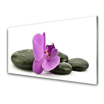 tulup.si Slika na akrilnem steklu Orchid cvet orhideje 4 obešalnika