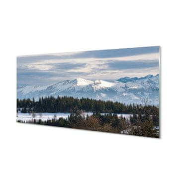 tulup.si Slika na akrilnem steklu Mountain pozimi 2 obešalnika