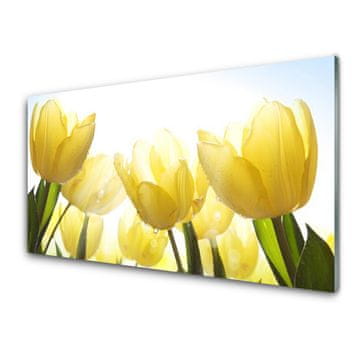 tulup.si Slika na akrilnem steklu Tulipani flowers rays 2 obešalnika