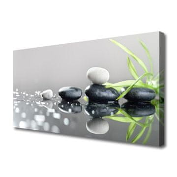 tulup.si Slika na platnu Zen spa stones grass