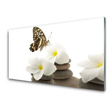 tulup.si Slika na akrilnem steklu Butterfly flower rastlin stones 4 obešalnika
