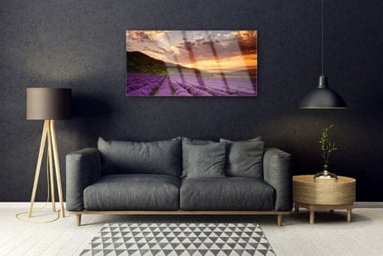 tulup.si Slika na akrilnem steklu Področje lavender sunset