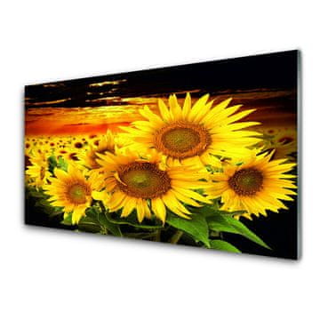 tulup.si Slika na akrilnem steklu Sončnica flower rastlin 4 obešalnika