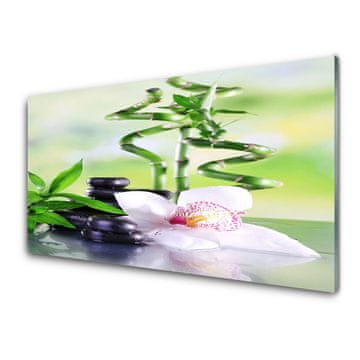 tulup.si Slika na akrilnem steklu Bamboo orchid zen spa 2 obešalnika