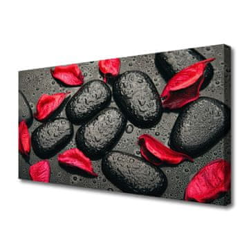 tulup.si Slika na platnu Kosmiči stones art