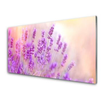 tulup.si Slika na akrilnem steklu Lavender področje sun flowers 4 obešalnika