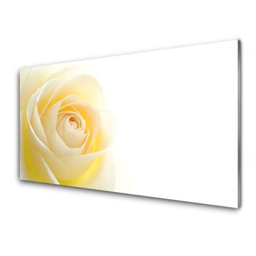 tulup.si Slika na akrilnem steklu Rose flower rastlin narava 2 obešalnika