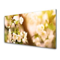 tulup.si Slika na steklu Cvetovi rastlin narava 140x70 cm 4 obešalnika