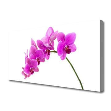tulup.si Slika na platnu Orchid cvet orhideje