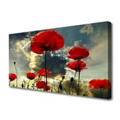 tulup.si Slika na platnu Mak rože narava rastlin 100x50 cm