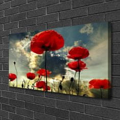 tulup.si Slika na platnu Mak rože narava rastlin 100x50 cm