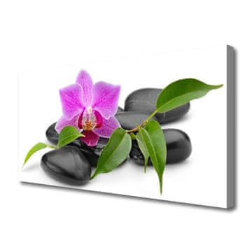 tulup.si Slika na platnu Orchid flower art