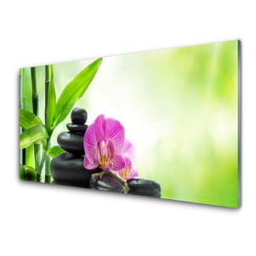 tulup.si Slika na akrilnem steklu Bamboo listi graphics 2 obešalnika